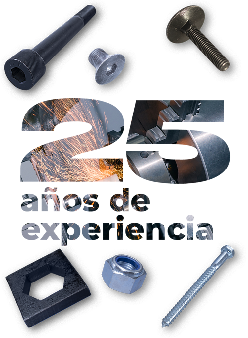 25a